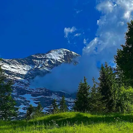 Romantisches Plätzchen in der Natur Grindelwald Exterior foto