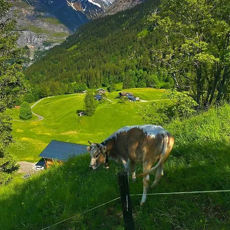 Romantisches Plätzchen in der Natur Grindelwald Exterior foto