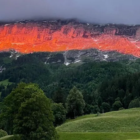 Romantisches Plätzchen in der Natur Grindelwald Exterior foto