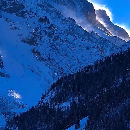 Romantisches Plätzchen in der Natur Grindelwald Exterior foto