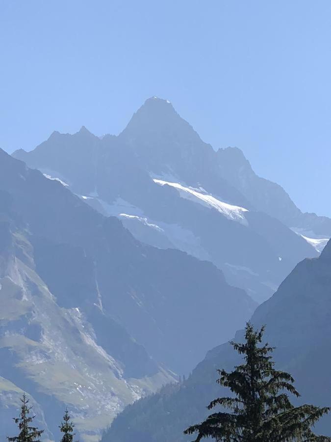 Romantisches Plätzchen In Der * Grindelwald