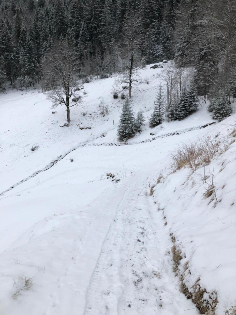 Apartment Romantisches Plätzchen In Der Grindelwald